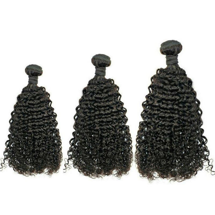 Brazilian Kinky Curly Bundle Deals - The Beauty With-N & Essentials